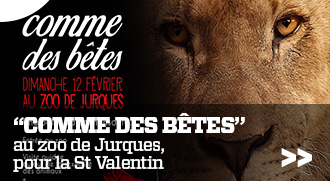 Â©Zoo de Jurques