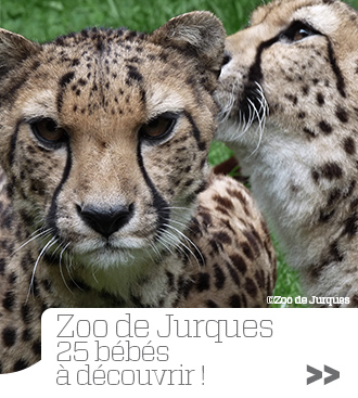 Â©Zoo de Jurques