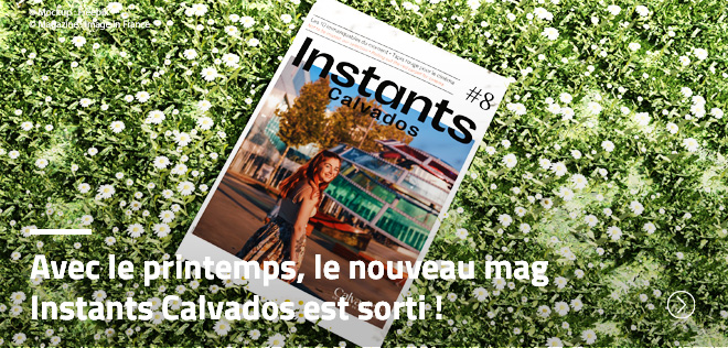 Freepik & Image in France