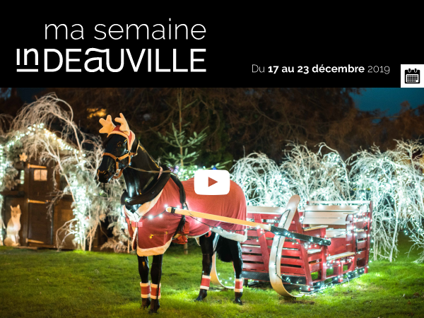 CADEAU NOËL - Pôle international du Cheval Longines – Deauville
